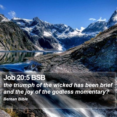 Job 20:5 BSB Bible Verse Image
