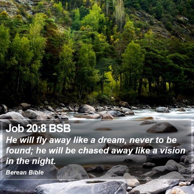 Job 20:8 BSB Bible Verse Image