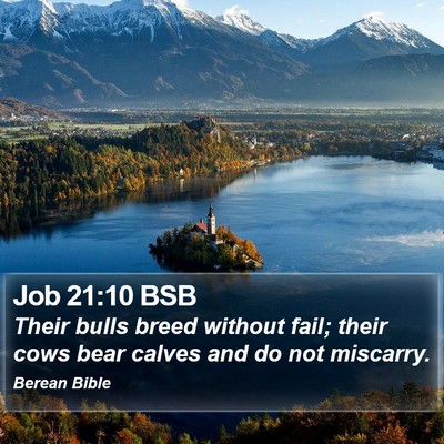 Job 21:10 BSB Bible Verse Image