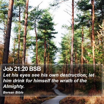 Job 21:20 BSB Bible Verse Image