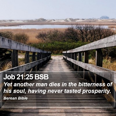 Job 21:25 BSB Bible Verse Image