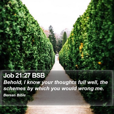 Job 21:27 BSB Bible Verse Image