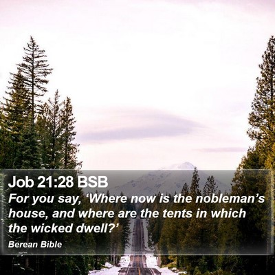 Job 21:28 BSB Bible Verse Image