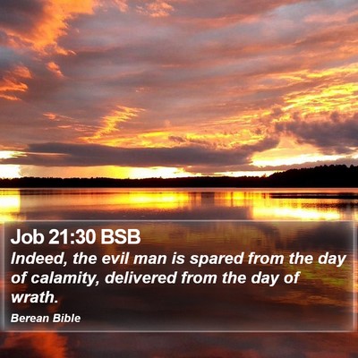 Job 21:30 BSB Bible Verse Image
