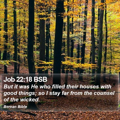 Job 22:18 BSB Bible Verse Image
