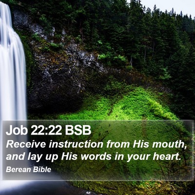 Job 22:22 BSB Bible Verse Image