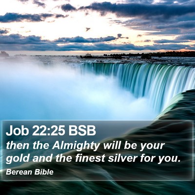 Job 22:25 BSB Bible Verse Image