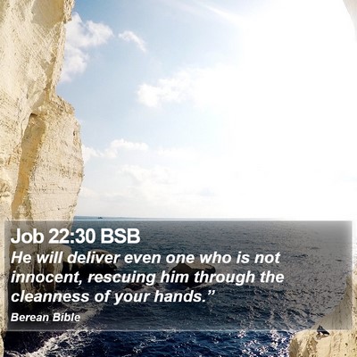 Job 22:30 BSB Bible Verse Image
