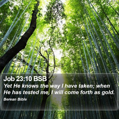 Job 23:10 BSB Bible Verse Image