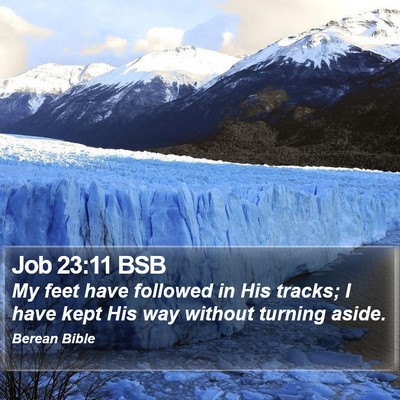 Job 23:11 BSB Bible Verse Image