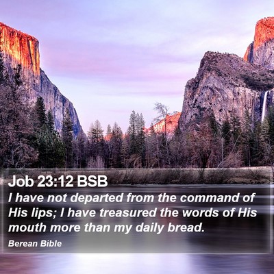 Job 23:12 BSB Bible Verse Image