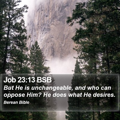 Job 23:13 BSB Bible Verse Image