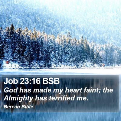 Job 23:16 BSB Bible Verse Image