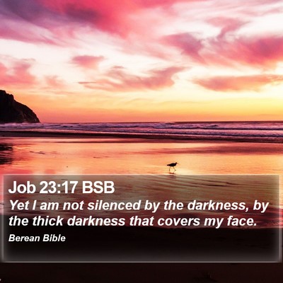 Job 23:17 BSB Bible Verse Image
