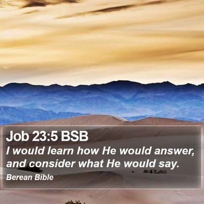 Job 23:5 BSB Bible Verse Image