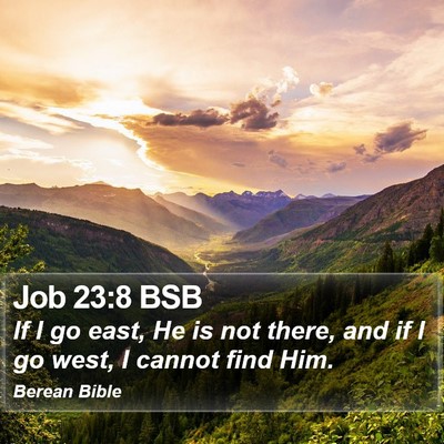 Job 23:8 BSB Bible Verse Image