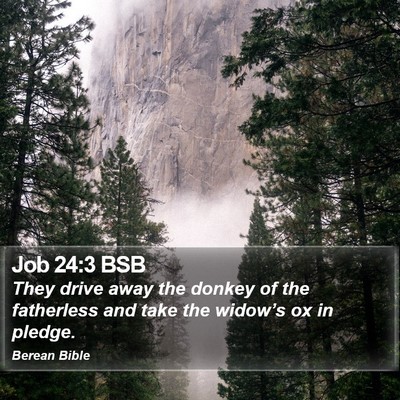 Job 24:3 BSB Bible Verse Image