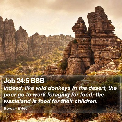 Job 24:5 BSB Bible Verse Image