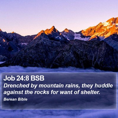 Job 24:8 BSB Bible Verse Image