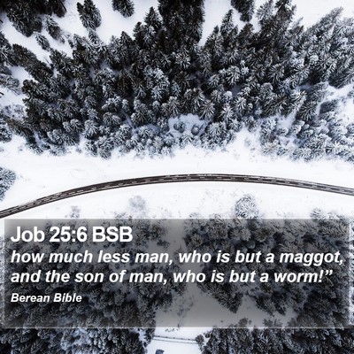 Job 25:6 BSB Bible Verse Image