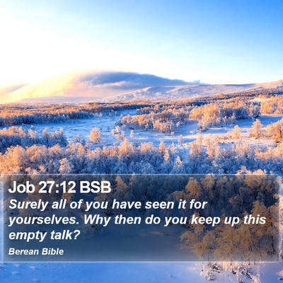 Job 27:12 BSB Bible Verse Image