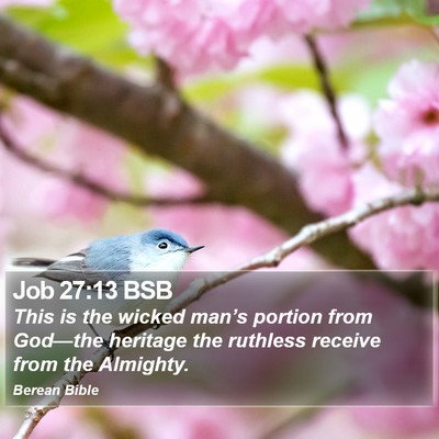 Job 27:13 BSB Bible Verse Image