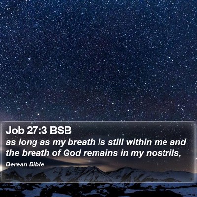 Job 27:3 BSB Bible Verse Image