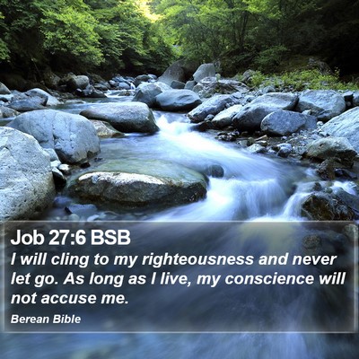 Job 27:6 BSB Bible Verse Image
