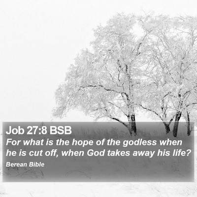 Job 27:8 BSB Bible Verse Image