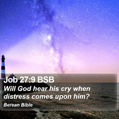 Job 27:9 BSB Bible Verse Image