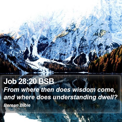 Job 28:20 BSB Bible Verse Image