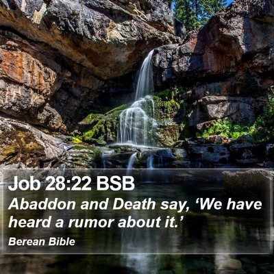 Job 28:22 BSB Bible Verse Image