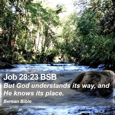 Job 28:23 BSB Bible Verse Image