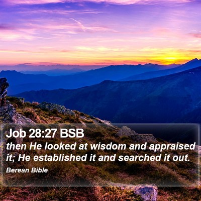 Job 28:27 BSB Bible Verse Image
