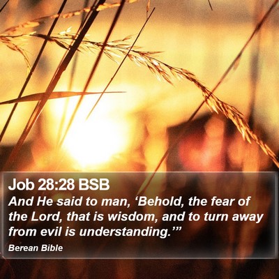 Job 28:28 BSB Bible Verse Image