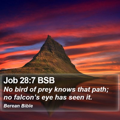 Job 28:7 BSB Bible Verse Image