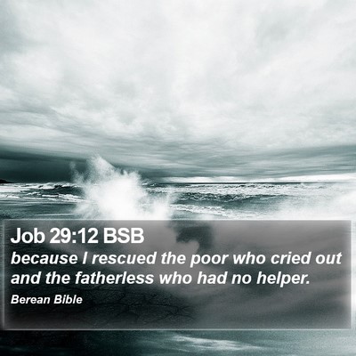 Job 29:12 BSB Bible Verse Image
