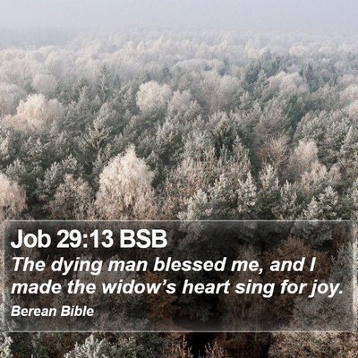 Job 29:13 BSB Bible Verse Image