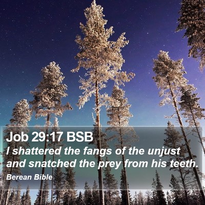 Job 29:17 BSB Bible Verse Image