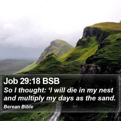 Job 29:18 BSB Bible Verse Image