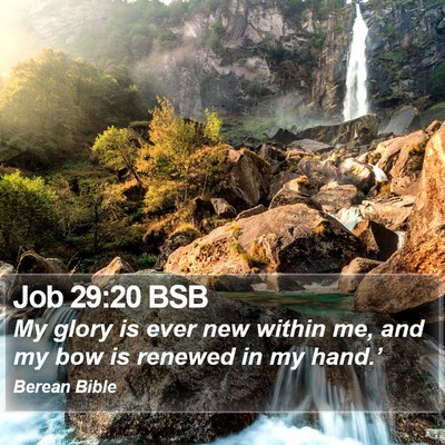 Job 29:20 BSB Bible Verse Image
