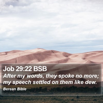 Job 29:22 BSB Bible Verse Image