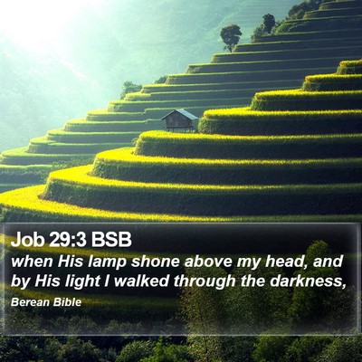 Job 29:3 BSB Bible Verse Image