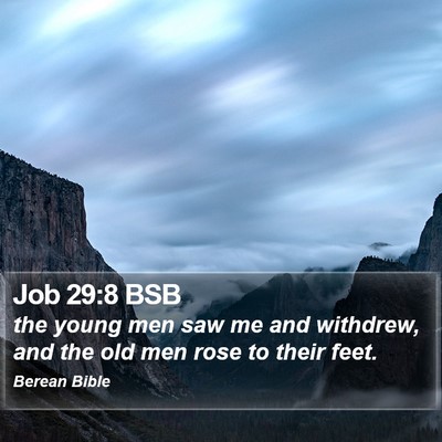 Job 29:8 BSB Bible Verse Image