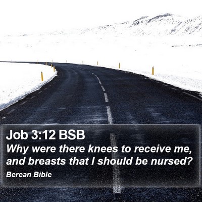 Job 3:12 BSB Bible Verse Image
