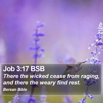 Job 3:17 BSB Bible Verse Image