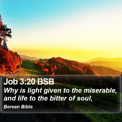 Job 3:20 BSB Bible Verse Image