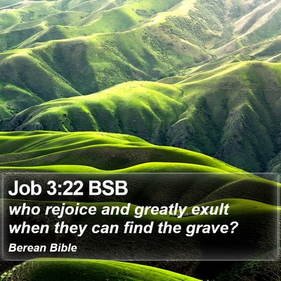 Job 3:22 BSB Bible Verse Image