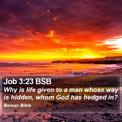 Job 3:23 BSB Bible Verse Image