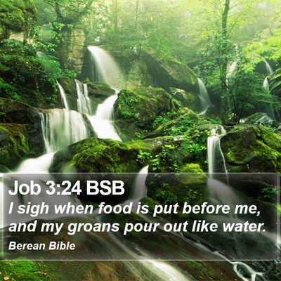Job 3:24 BSB Bible Verse Image